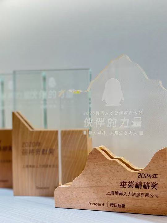 2025年度垂类精耕奖